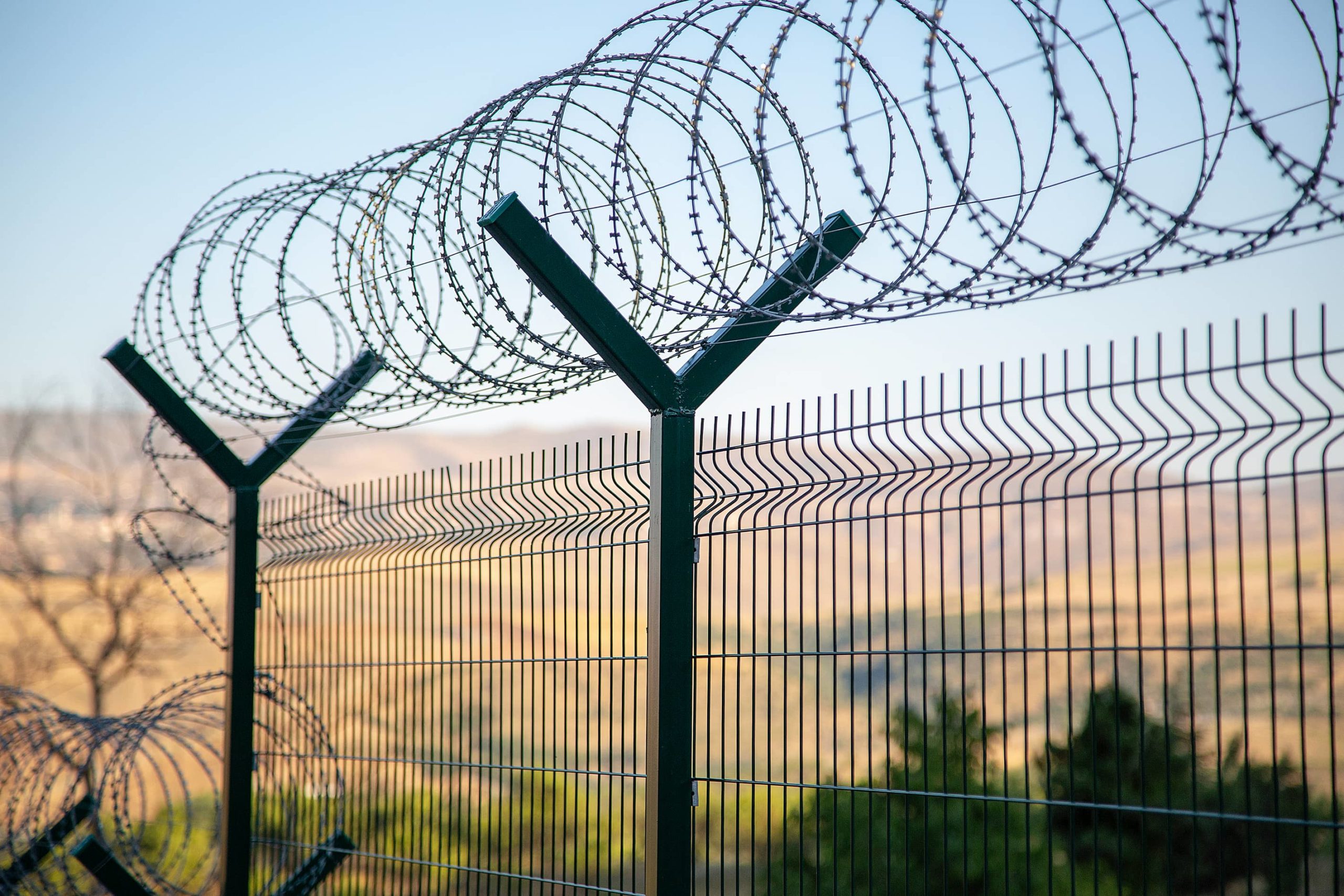 This image shows a metal security fence with curled barbed wire on top.